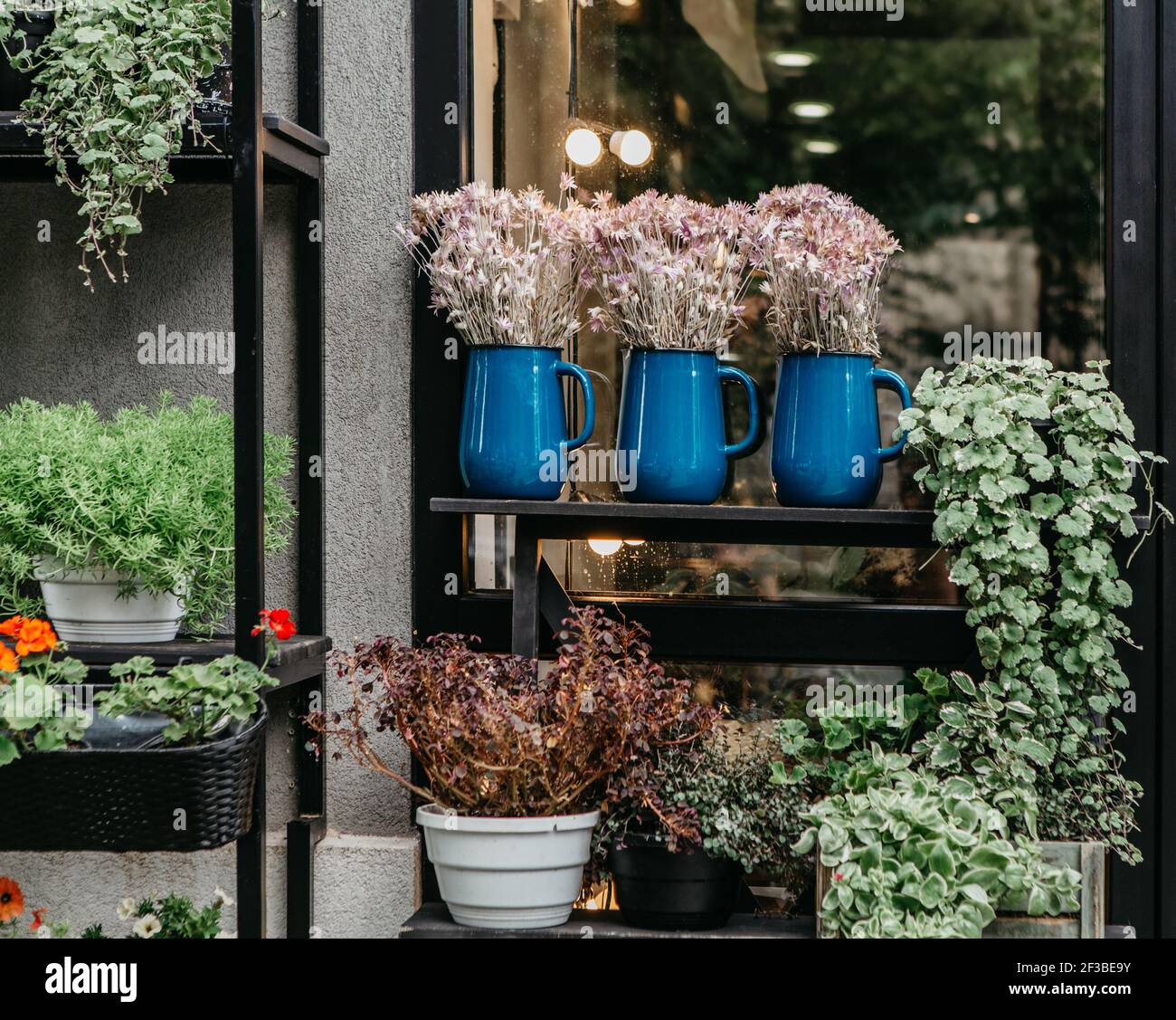 Giardino in città, negozio e decorazione, elementi di design in vetrina Foto Stock