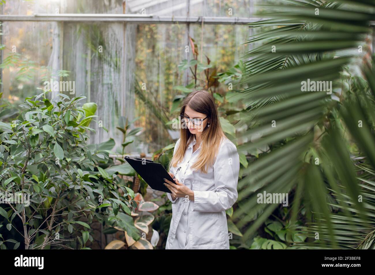 Biologa scienziata femminile professionista, donna caucasica abbastanza sicura in camice bianco, in piedi in serra facendo note durante il controllo delle piante Foto Stock