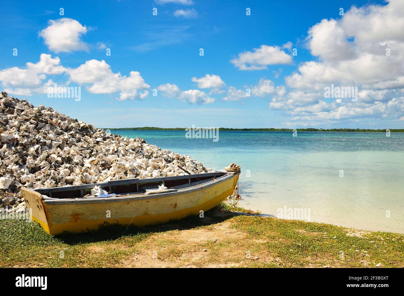 vecchio bot rustico accanto ad un mucchio di cozze sulla spiaggia sabbiosa dell'isola caraibica a bonaire. Antille Olandesi. Foto Stock