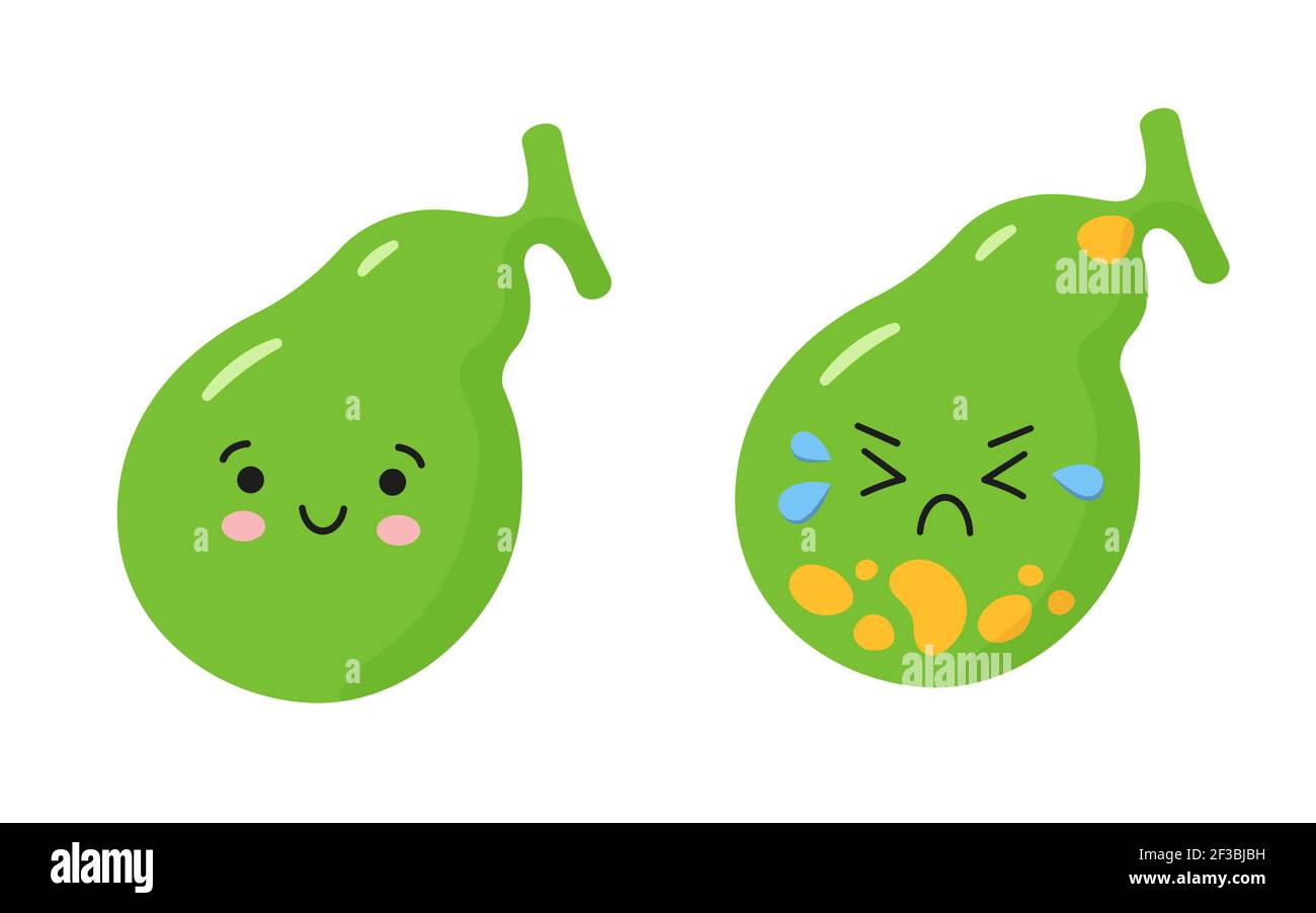 Felice cistifellea sana e malata cistifellea triste con pietre. Caratteri per illustrare il problema della colecistite, malattia della colecistite. Illustrazione Vettoriale