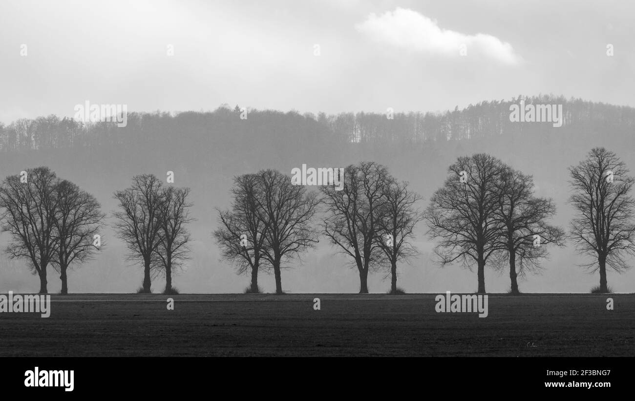 Il vicolo degli alberi a Herleshausen in Germania Foto Stock