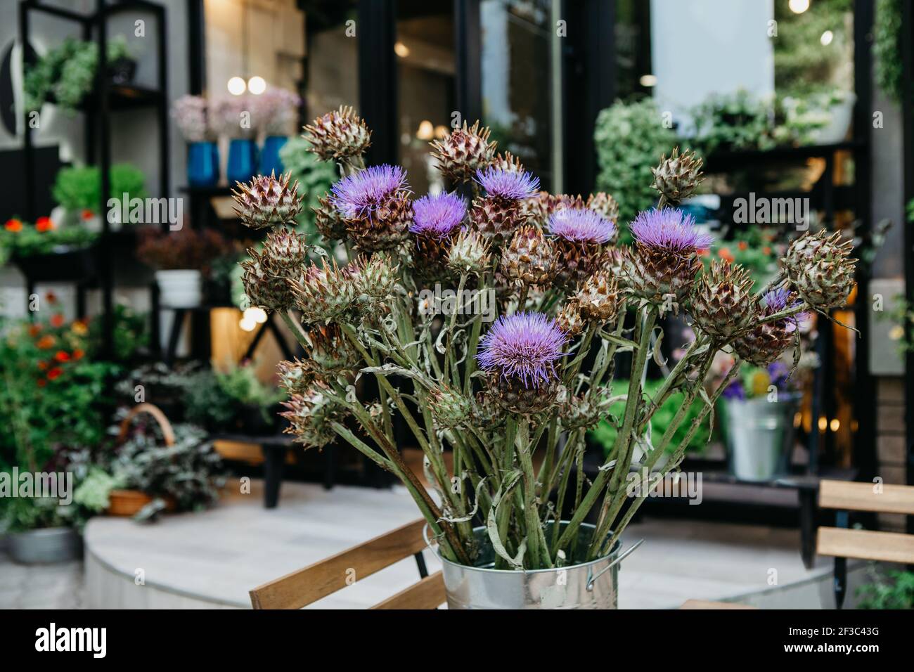 Eco cafe, studio di fiori e negozio in città, arredamento elementi e stile rustico in interni all'aperto Foto Stock