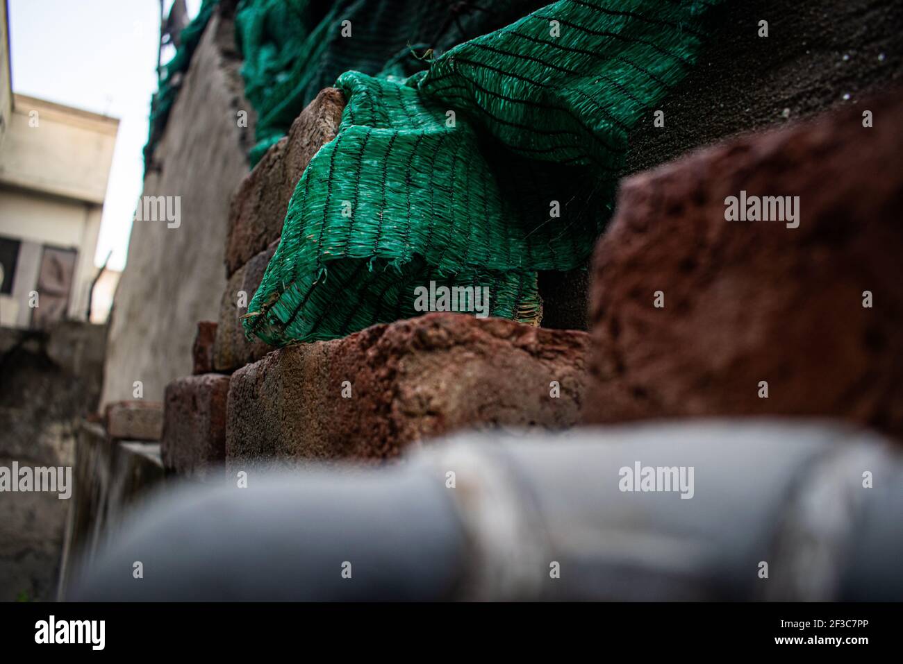 Bel foglio verde con mattoni rossi grandi, splendido sfondo contrasty Foto Stock