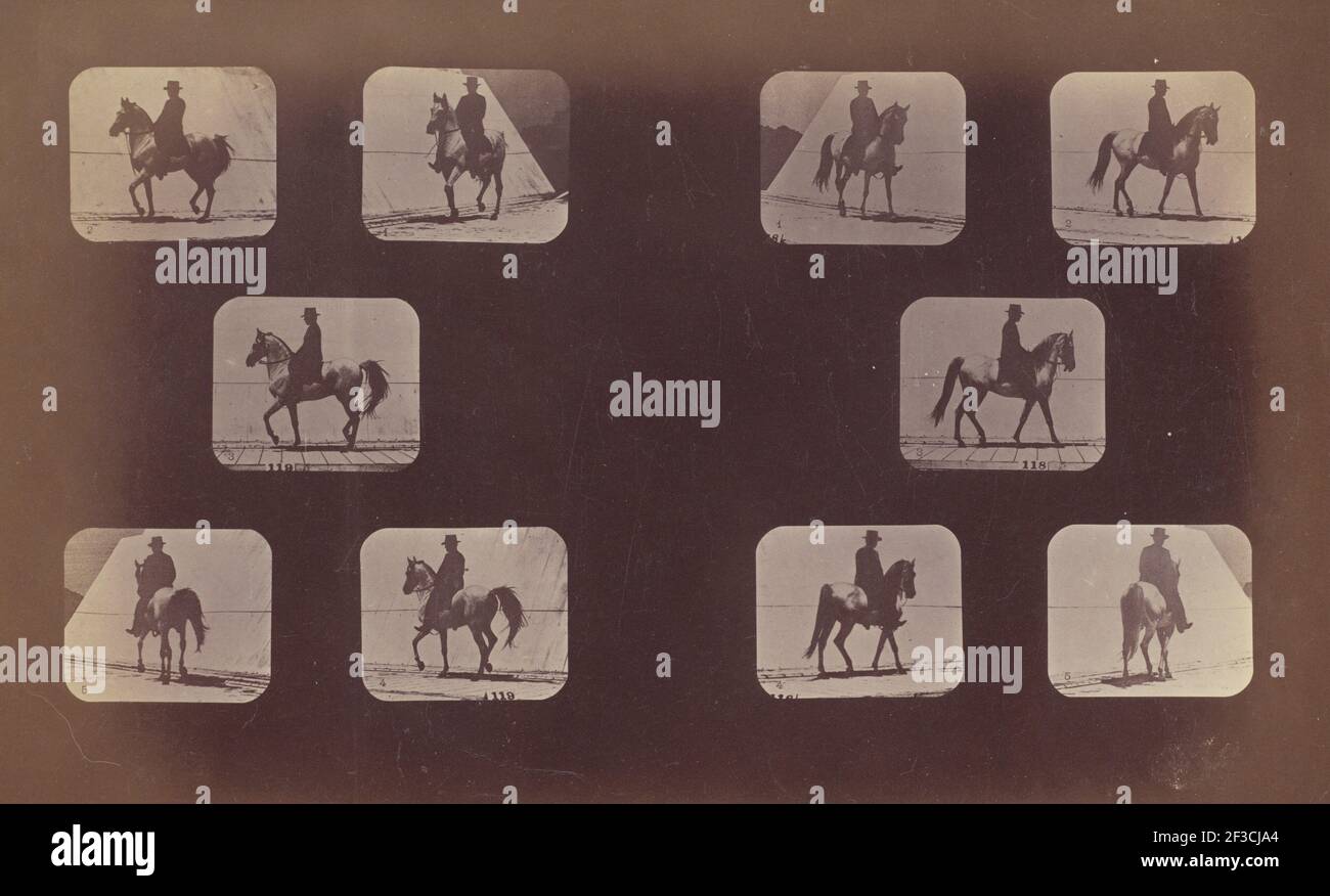 Studi di scorciatature. Cavalli. A piedi. Mahomet. N. 119-120, 1879. Foto Stock