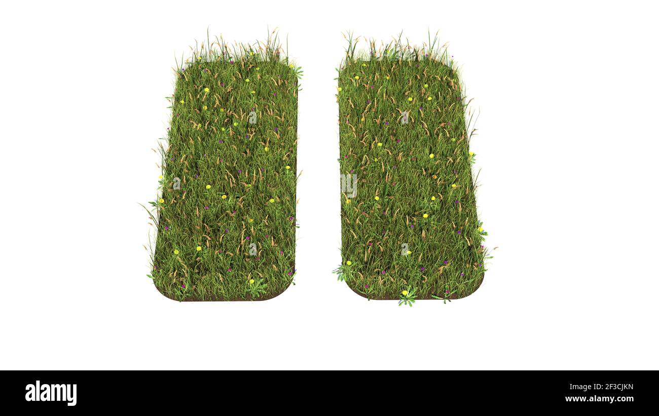 campo d'erba in 3d con fiori colorati a forma di simbolo di pausa in grassetto con messa a terra isolata in bianco sfondo Foto Stock