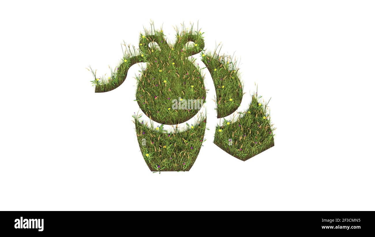 campo d'erba in 3d con fiori colorati a forma di simbolo delle scarpe da ballerina per ballare e ballare con terra isolato su sfondo bianco Foto Stock
