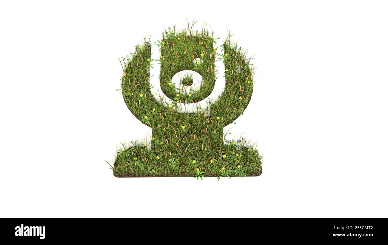 campo d'erba in 3d con fiori colorati a forma di simbolo del computer della fotocamera per la registrazione con terra isolata su sfondo bianco Foto Stock