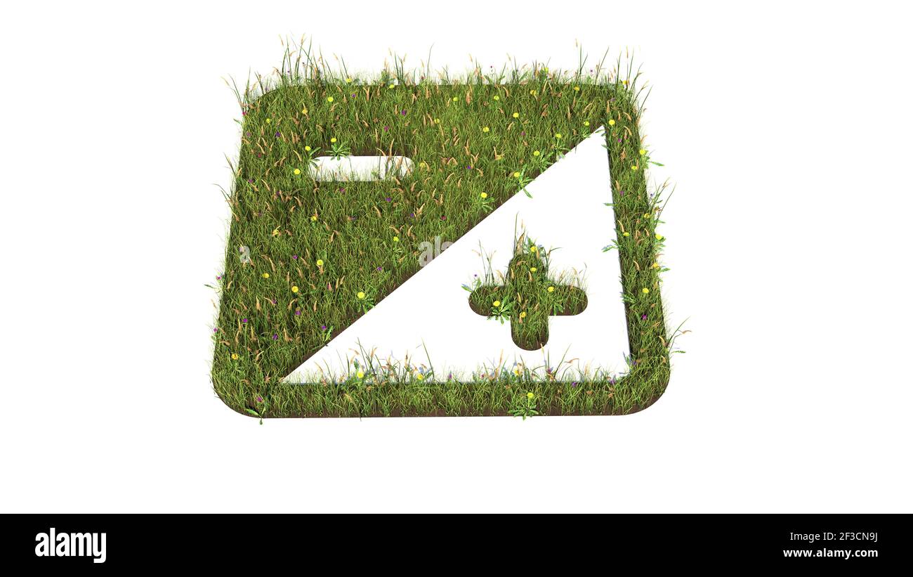 campo d'erba in 3d con fiori colorati a forma di simbolo del segno della telecamera di esposizione con terra isolata su bianco sfondo Foto Stock