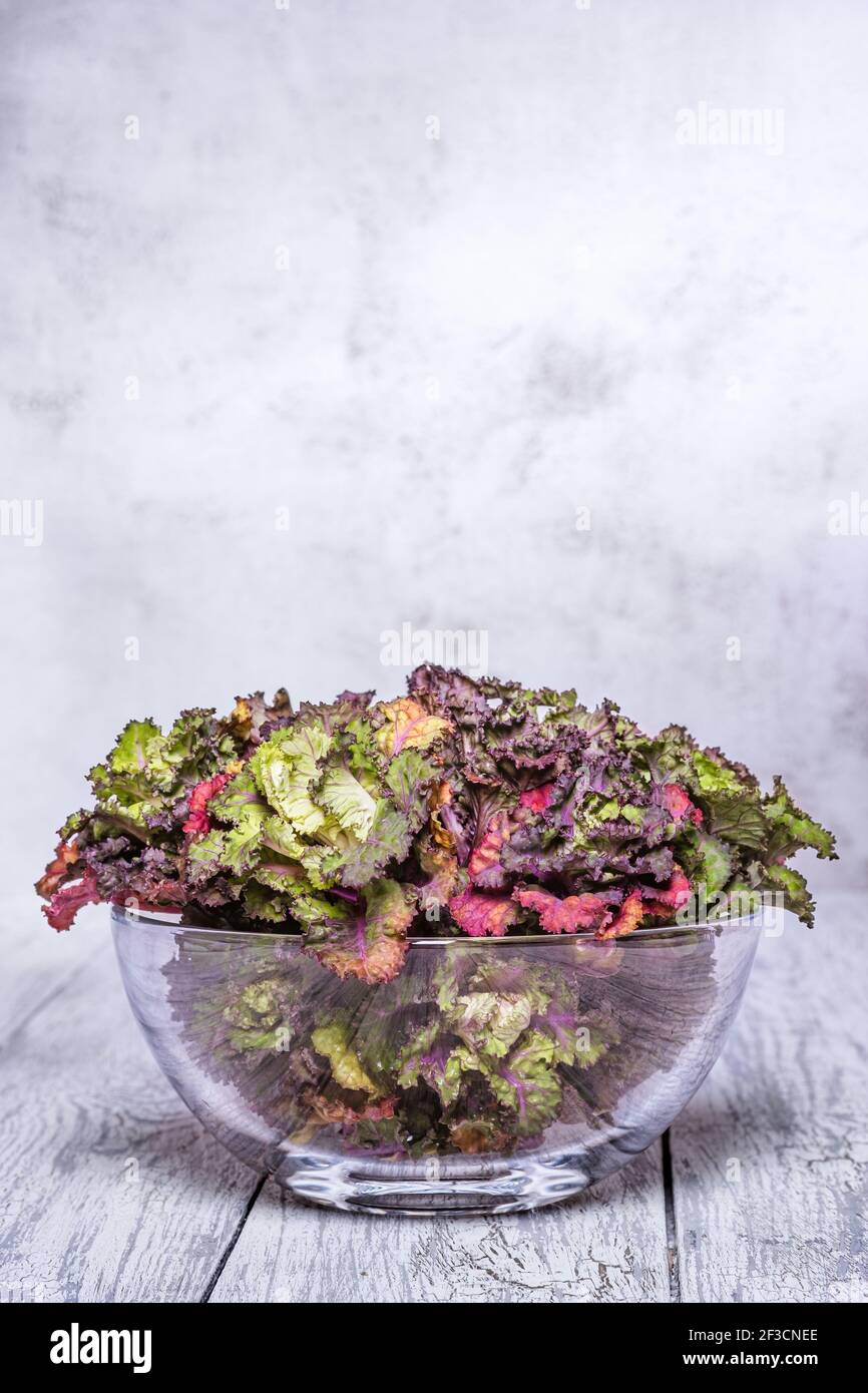 Germogli di fiori freschi, sani e colorati su sfondo di legno. Foto Stock
