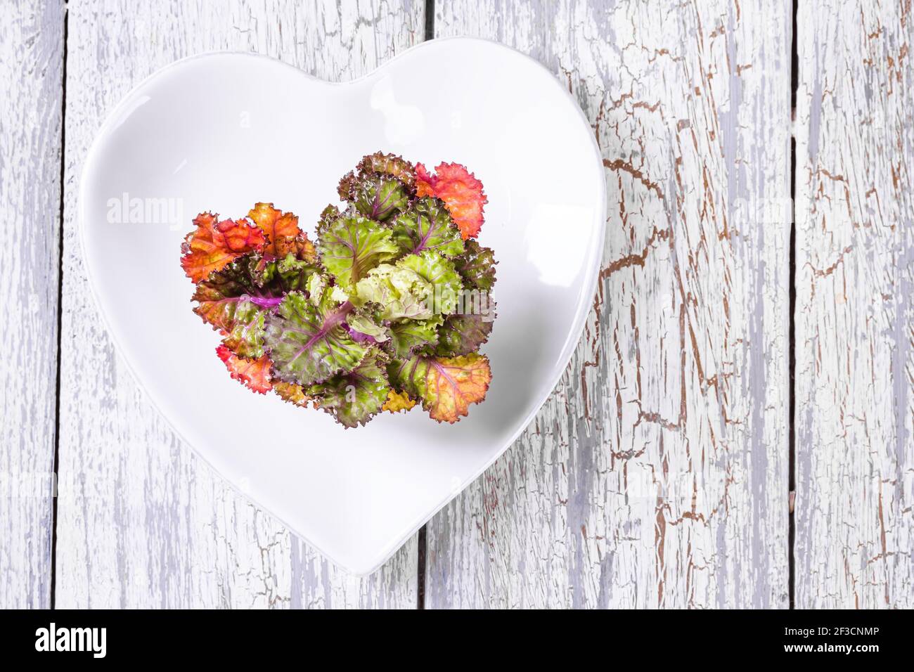 Germogli di fiori freschi, sani e colorati su sfondo di legno. Foto Stock