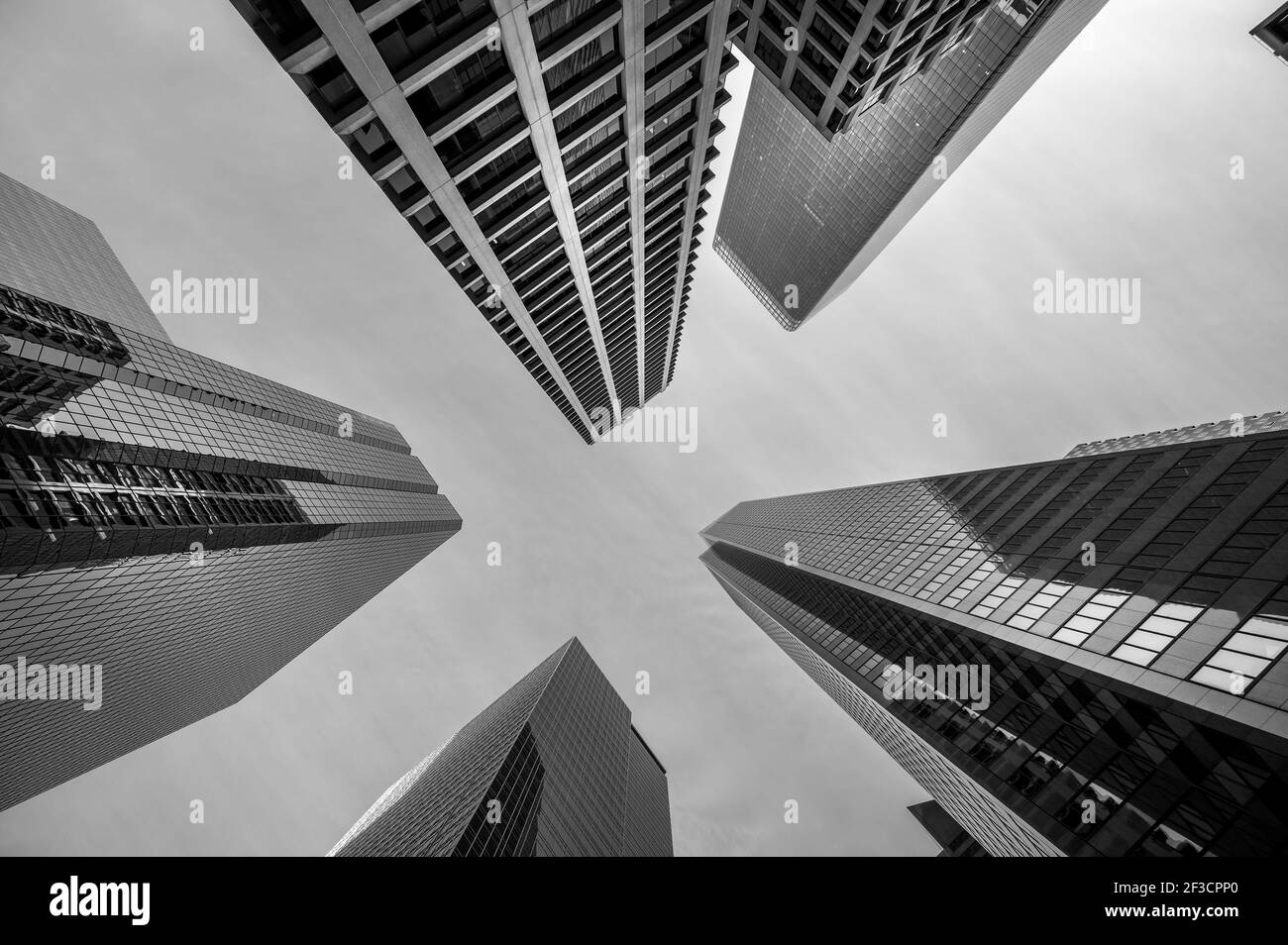 Guarda i grattacieli della città di Calgary. Foto Stock