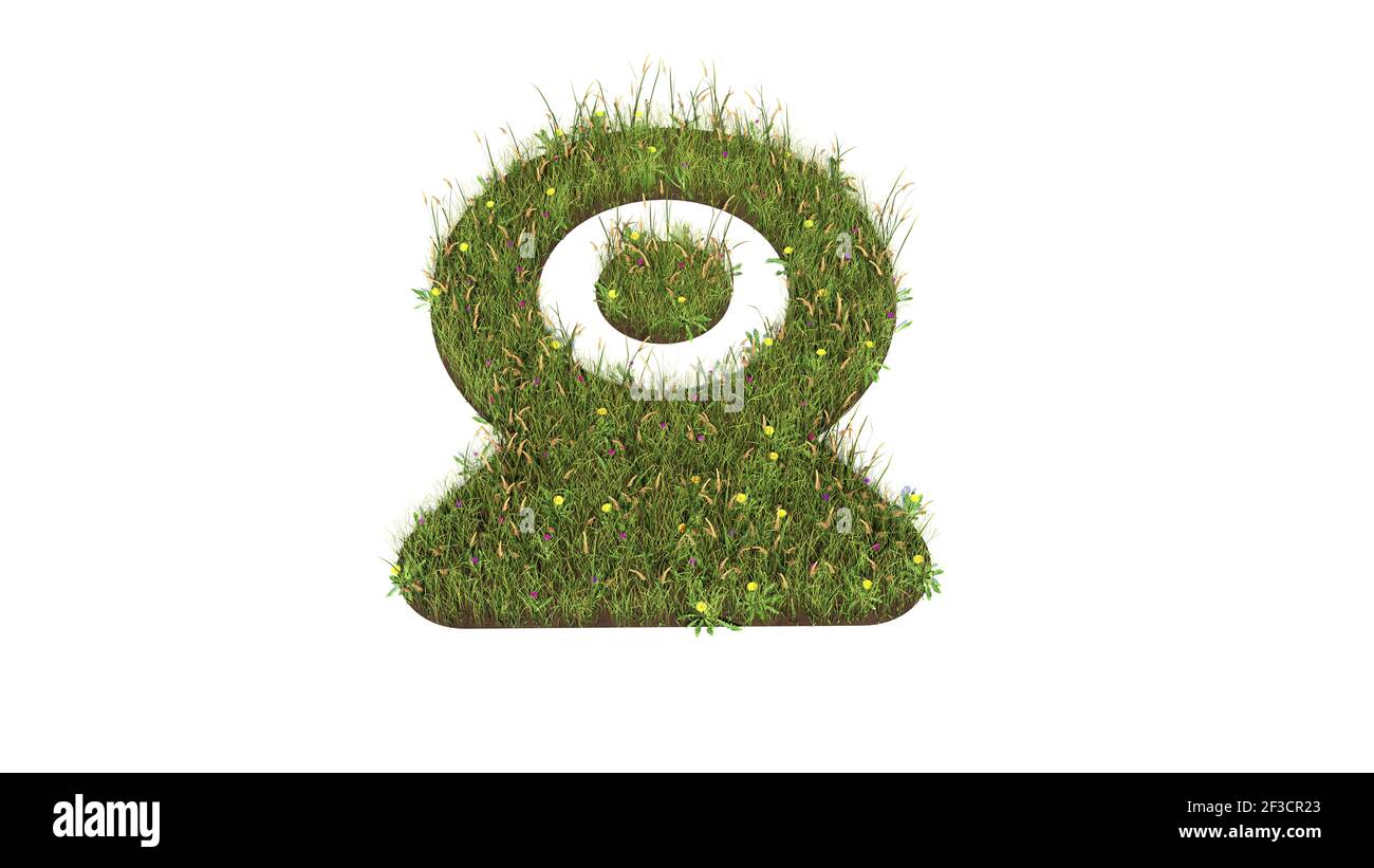 campo d'erba in 3d con fiori colorati a forma di simbolo della webcam per la registrazione con terra isolata attiva sfondo bianco Foto Stock