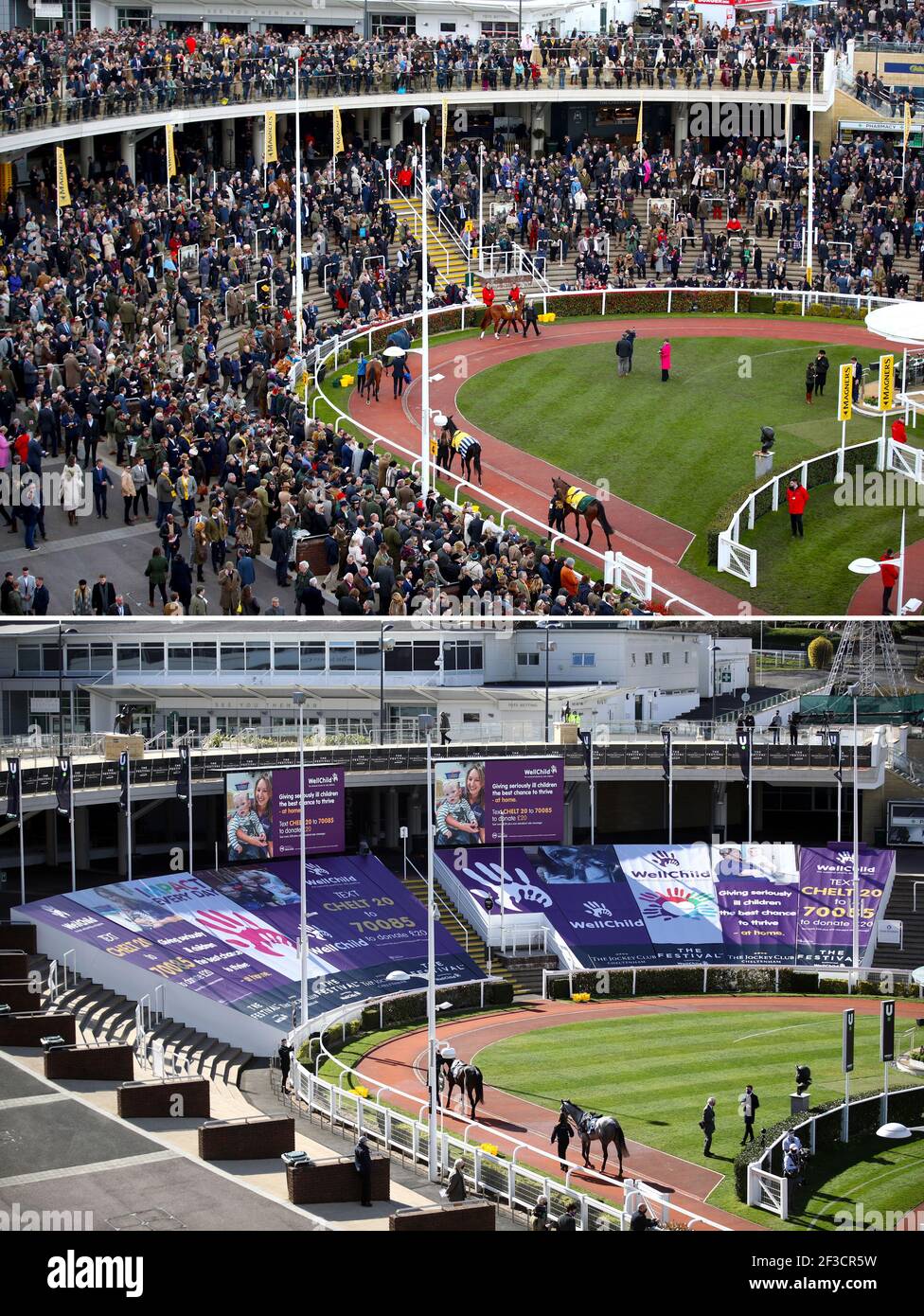 Un'immagine composita del Cheltenham Festival 2020 contro 2021. Top - file photo datato 13-03-2020 di Horses nel ring della parata davanti al JCB Triumph hurdle durante il quarto giorno del Cheltenham Festival a Cheltenham Racecourse Bottom - UNA vista generale del ring della parata prima della seconda gara durante il primo giorno del Cheltenham Festival a Cheltenham Ippodromo. Data immagine: Martedì 16 marzo 2021. Foto Stock