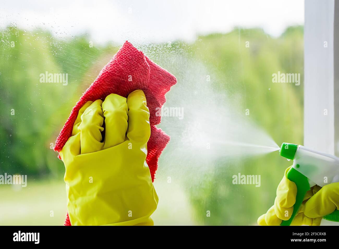 Finestre di lavaggio. Giovane donna in guanti di gomma gialla strofina il bicchiere. Concetto di casalinghi. Foto Stock