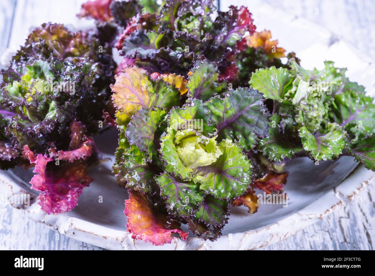 Germogli di fiori freschi, sani e colorati su sfondo di legno. Foto Stock