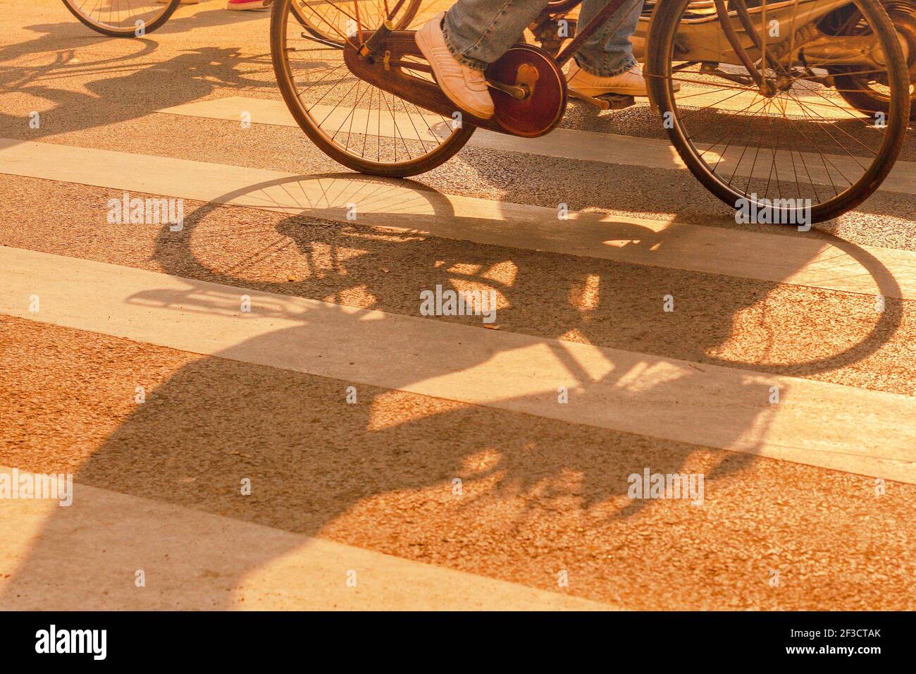 L'ombra di un ciclista che cavalca una bicicletta a Shanghai, in Cina Foto Stock