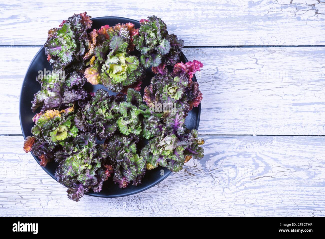 Germogli di fiori freschi, sani e colorati su sfondo di legno. Foto Stock