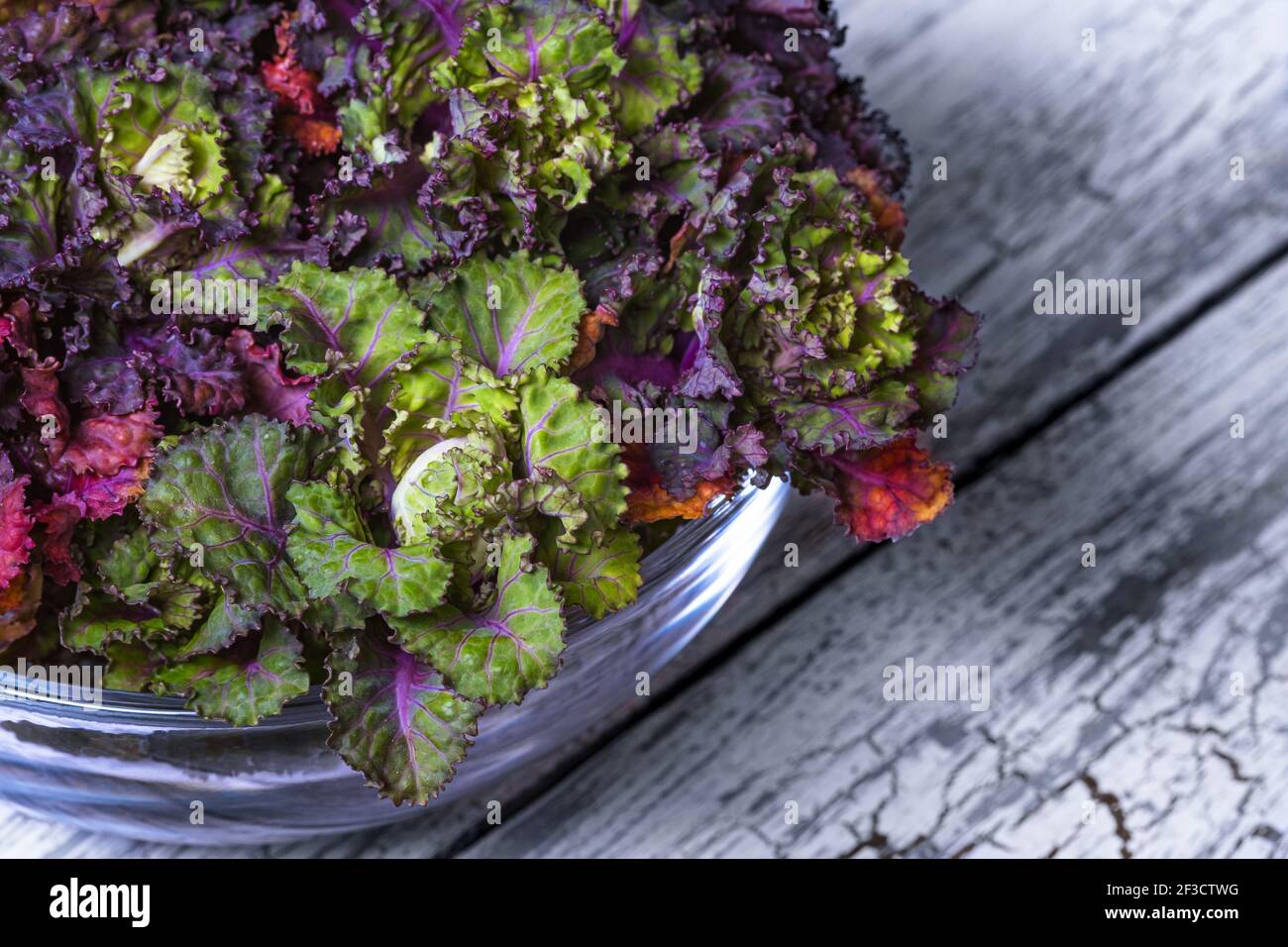 Germogli di fiori freschi, sani e colorati su sfondo di legno. Foto Stock