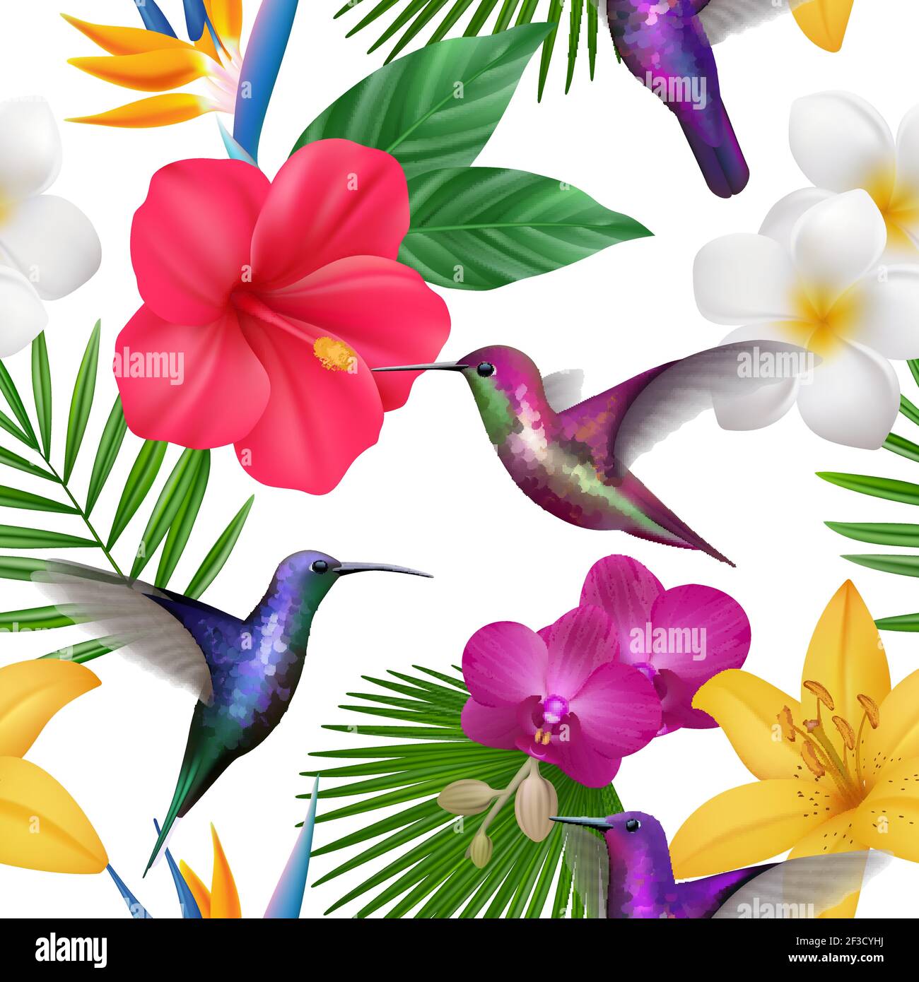 Modello tropicale. Colibri con fiori esotici volare piccolo hummingbirds vettore botanico bello sfondo senza giunture Illustrazione Vettoriale