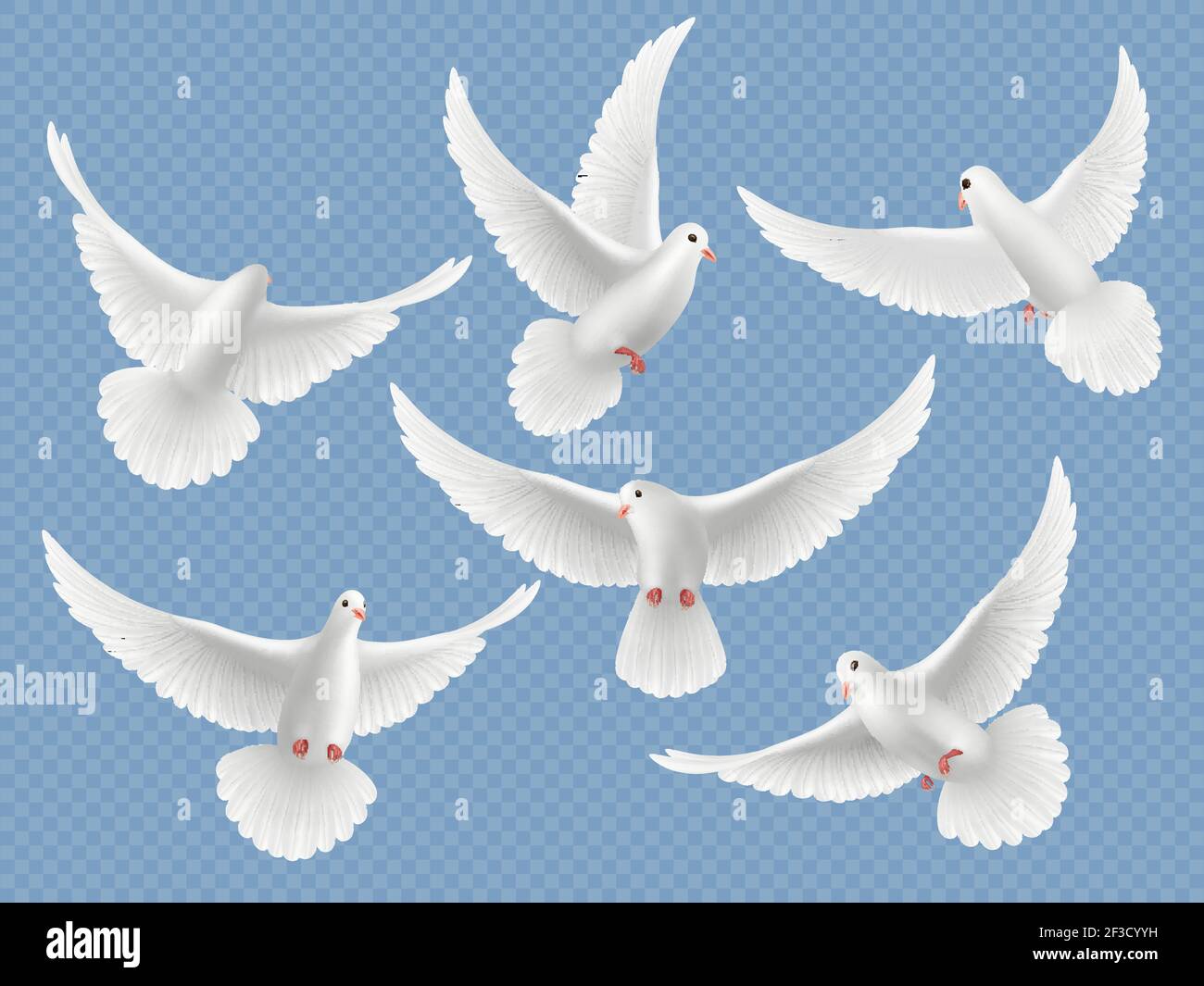 Colombe realistiche. Bianco libertà di volo uccelli piccioni religione simboli vettore immagini collezione Illustrazione Vettoriale