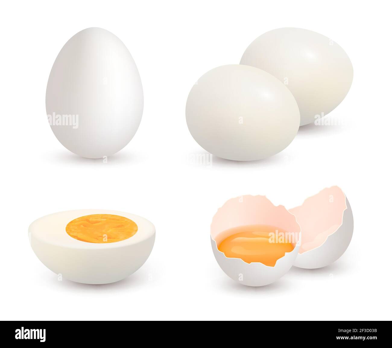 Uova realistiche. Naturale sano fattoria yolk fresco cibo e vettore proteico cracked uova di pollo guscio Illustrazione Vettoriale
