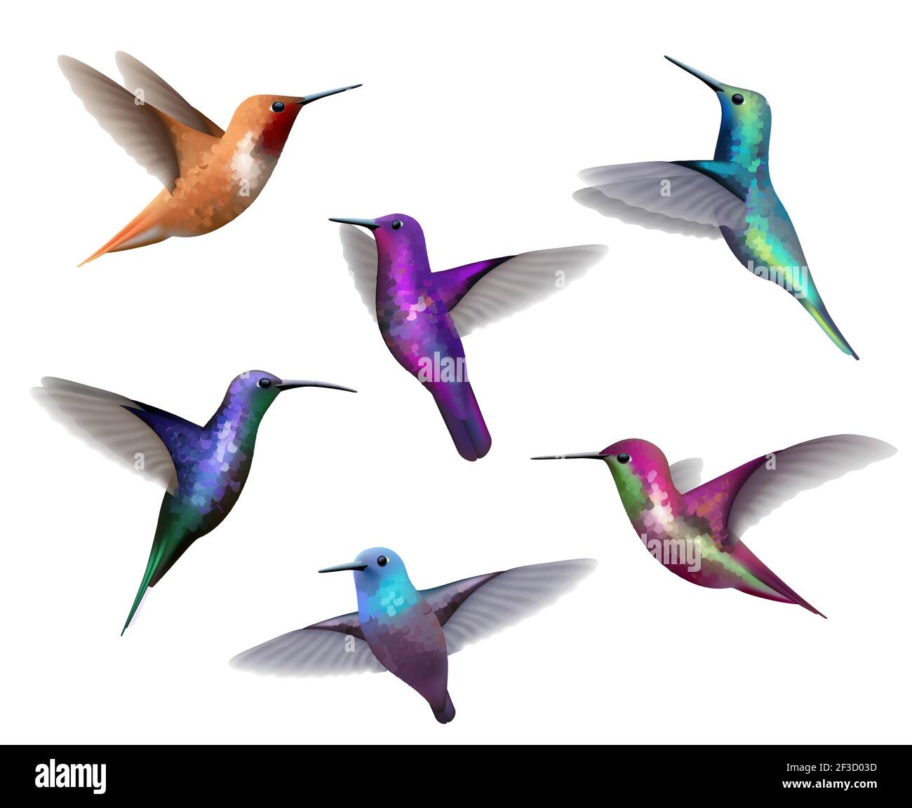 Volanti colibrì. Piccoli uccelli colorati giungla esotica colorata piccolo hummingbirds vettore collezione tropicale realistico Illustrazione Vettoriale