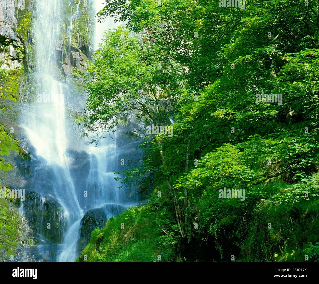 dettaglio cascata, Foto Stock