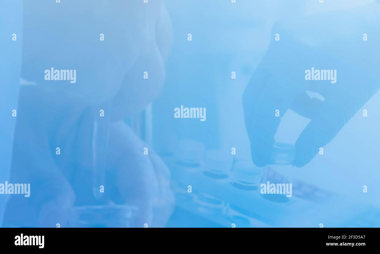 Ricerca scientifica - mani di tecnici di laboratorio scientifici che pipettano in laboratorio di ricerca. Mano blu con guanti che preleva un campione di liquido in vetro. Foto Stock