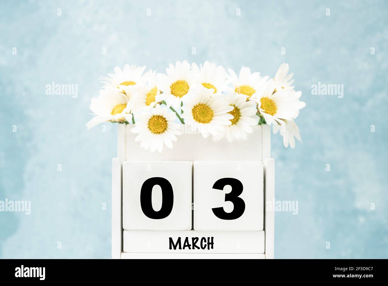 Calendario cubo bianco per marzo con fiori margherita su blu sfondo con spazio di copia Foto Stock