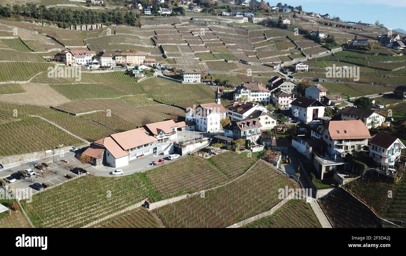 Lavaux, Svizzera Foto Stock