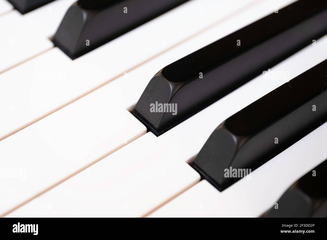 Tasti piano in bianco e nero. I tasti neri sono chiamati taglienti o piatti. Mettere a fuoco il tasto nero al centro dell'immagine Foto Stock