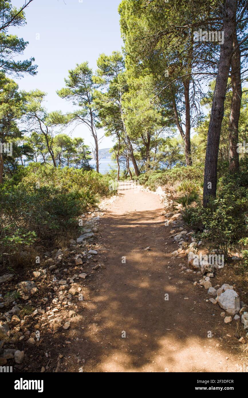 La Foresta di Porto Conte nel parco regionale nazionale, Alghero Sardegna Foto Stock