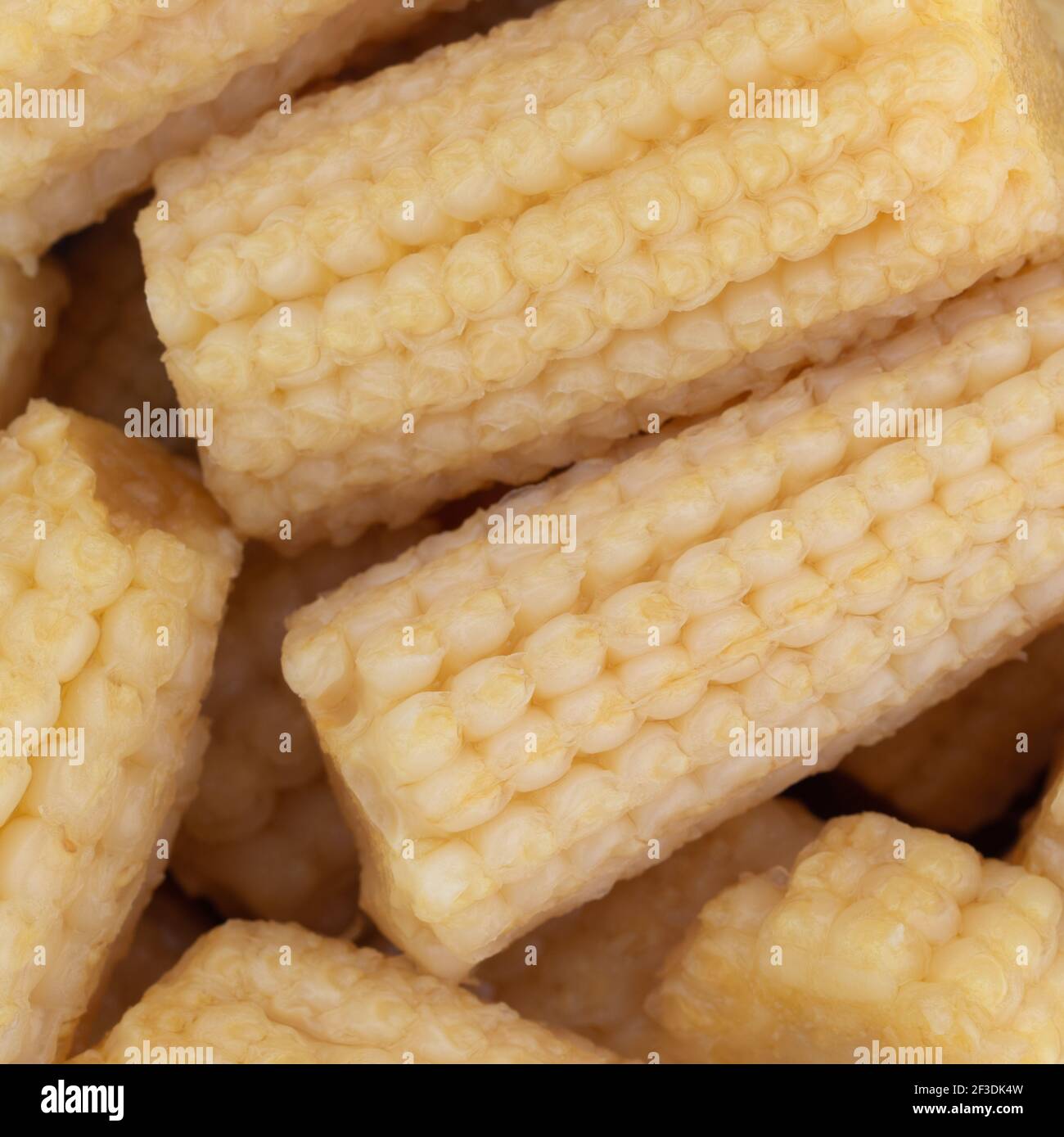 Vista molto ravvicinata delle pannocchie di mais biologiche in scatola. Foto Stock
