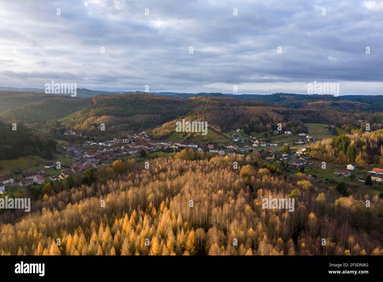 Drone vista di una pineta dorata al tramonto, in autunno, con un villaggio in background (Saint-Quirin, Mosella, francia) Foto Stock