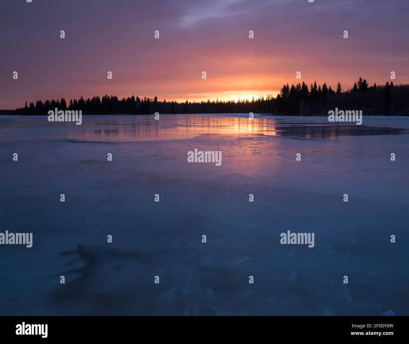 Alba invernale, lago Astotin, Elk Island National Park, Alberta, Canada Foto Stock