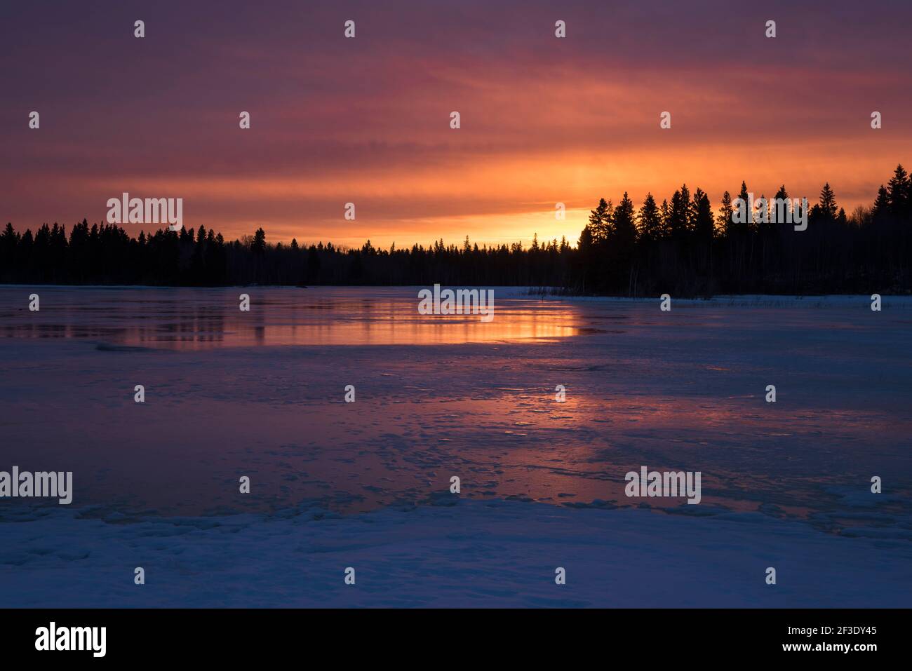 Alba invernale, lago Astotin, Elk Island National Park, Alberta, Canada Foto Stock