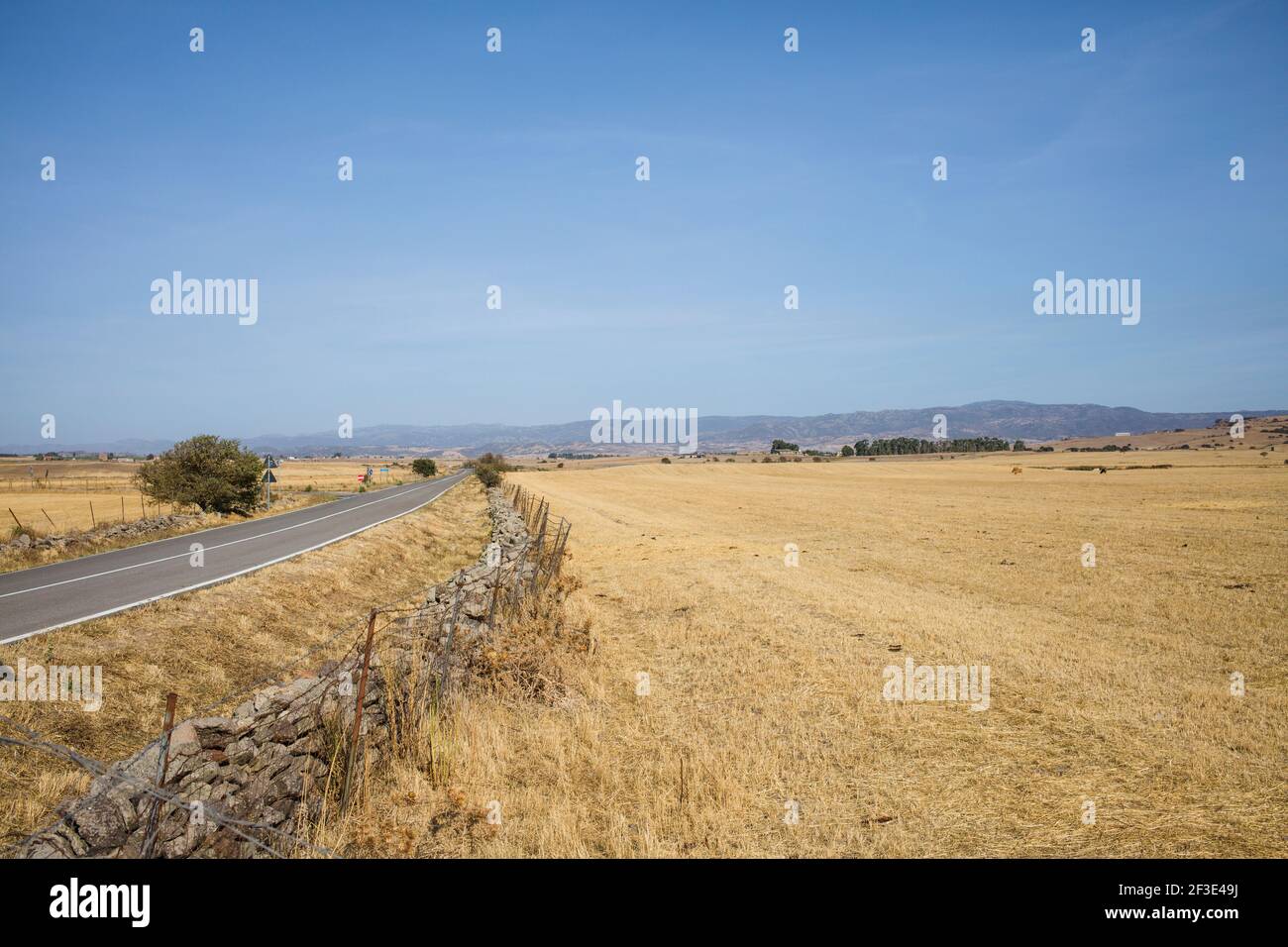 Autostrada a vuoto in Sardegna. Paesaggio con cielo blu campi asciutti e montagne in lontananza. Foto Stock