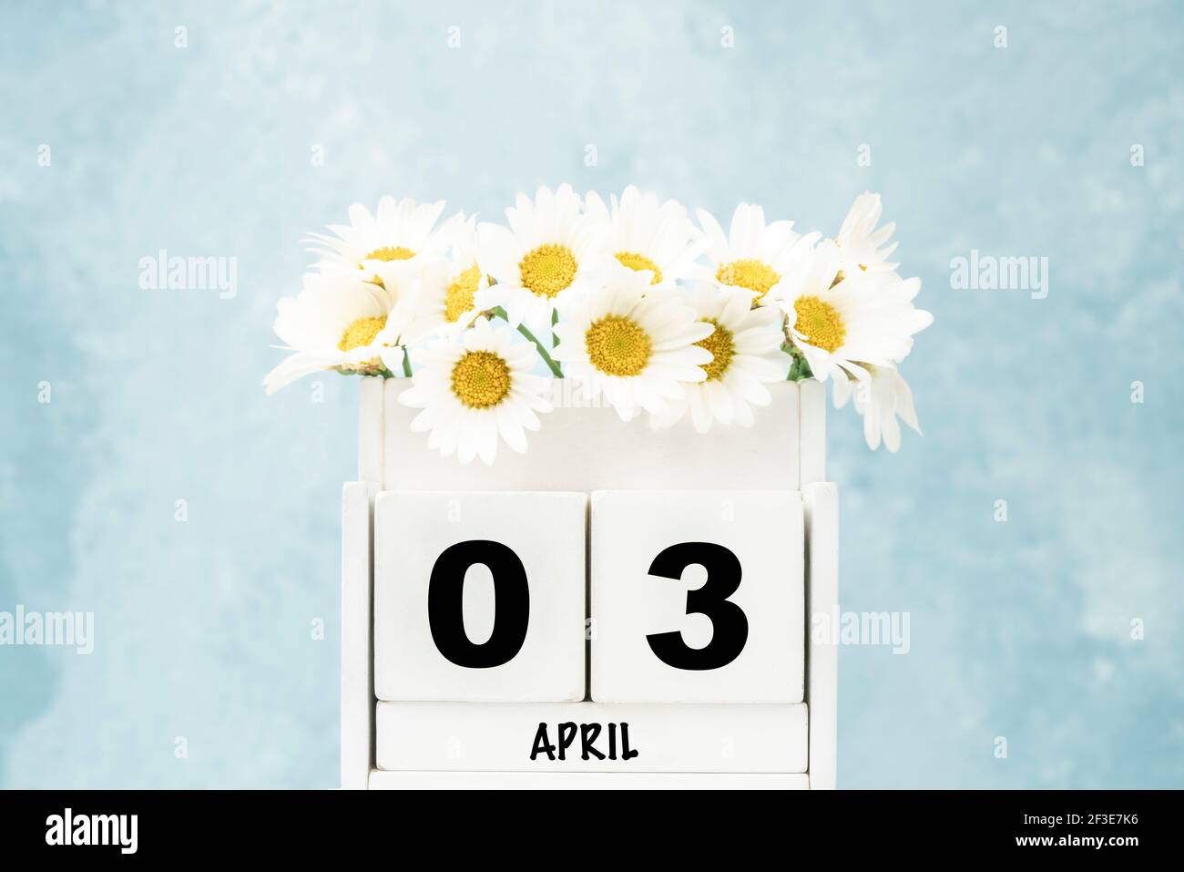 Calendario cubo bianco per aprile con fiori margherita su blu sfondo con spazio di copia Foto Stock