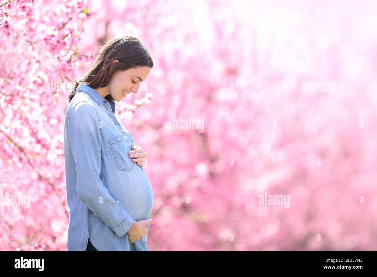 Vista laterale ritratto di una donna in gravidanza felice in blu guardando la pancia in un campo fiorito rosa Foto Stock