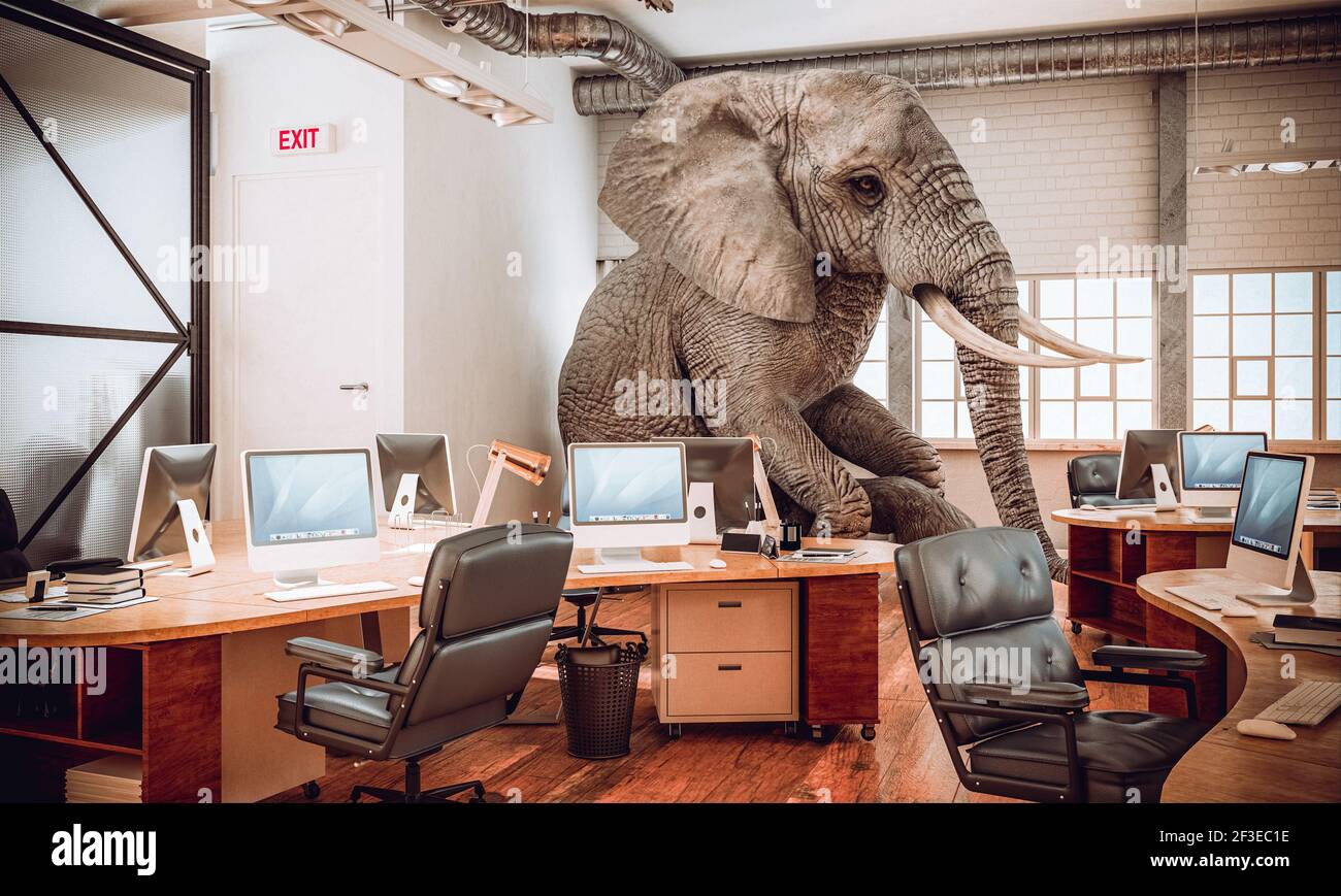 grande elefante seduto all'interno di un ufficio. rendering 3d. Foto Stock