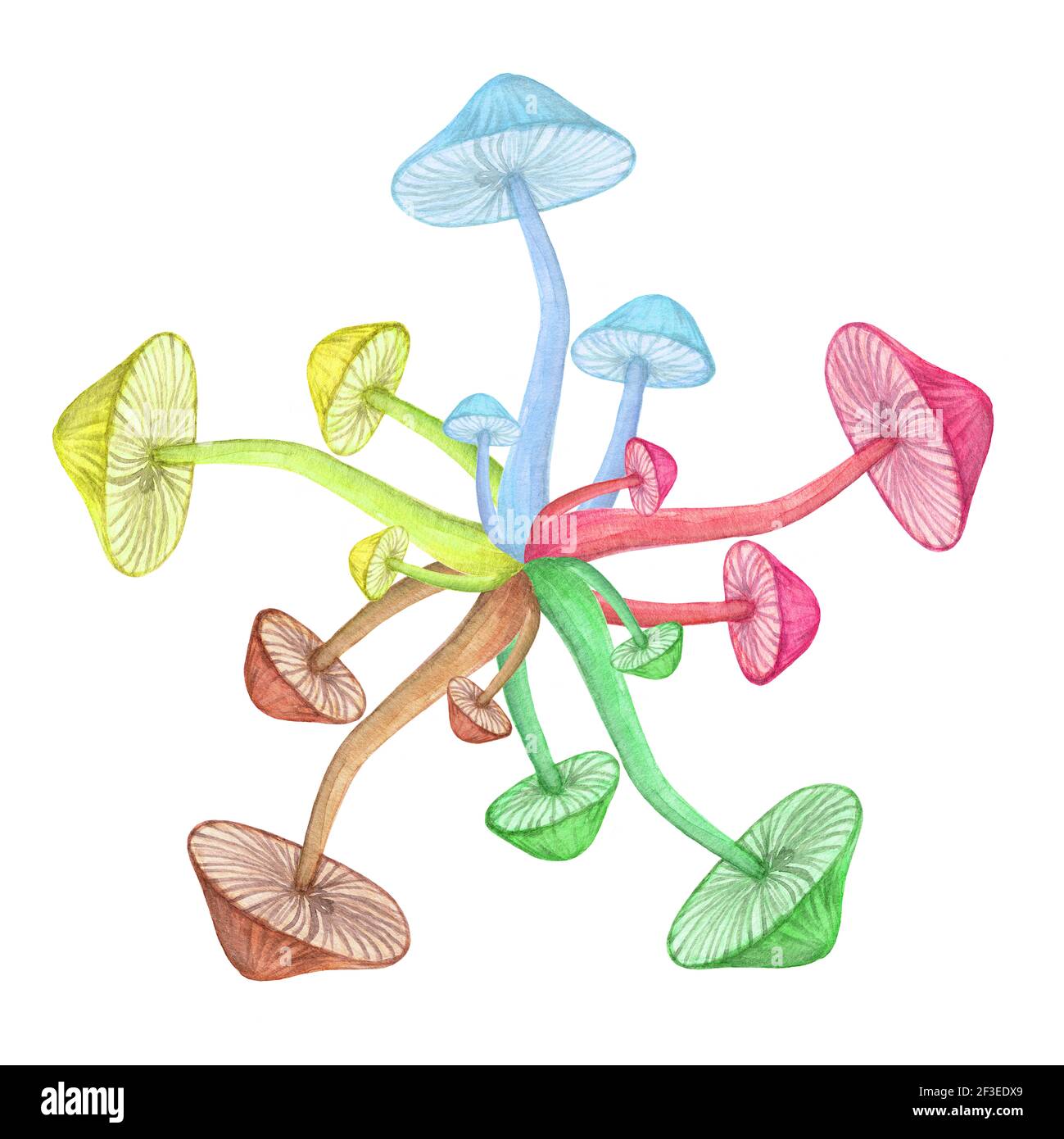 Toadstool cerchio hippie concetto isolato su sfondo bianco Foto Stock