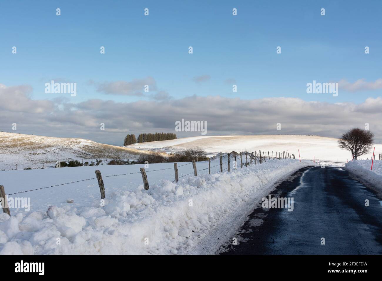 Strada invernale in Massif di Sancy, Puy de Dome, Auvergne-Rodano-Alpi, Francia Foto Stock