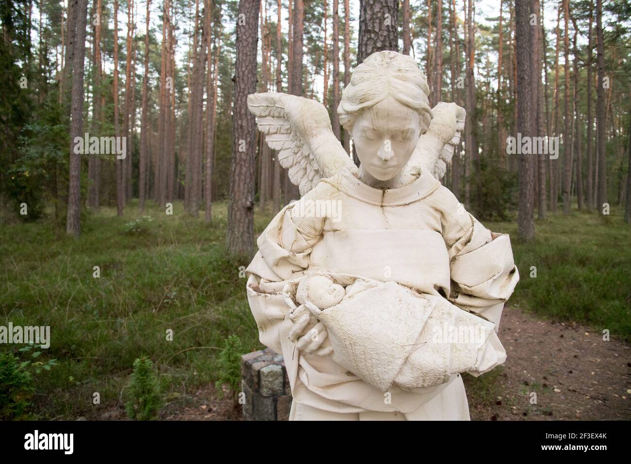 Bambini vittime del monumento di Piasnica e una delle 30 tombe di massa di almeno 12.000 a 14.000 intellettuali polacchi (attivisti nazionali, insegnanti, prete Foto Stock