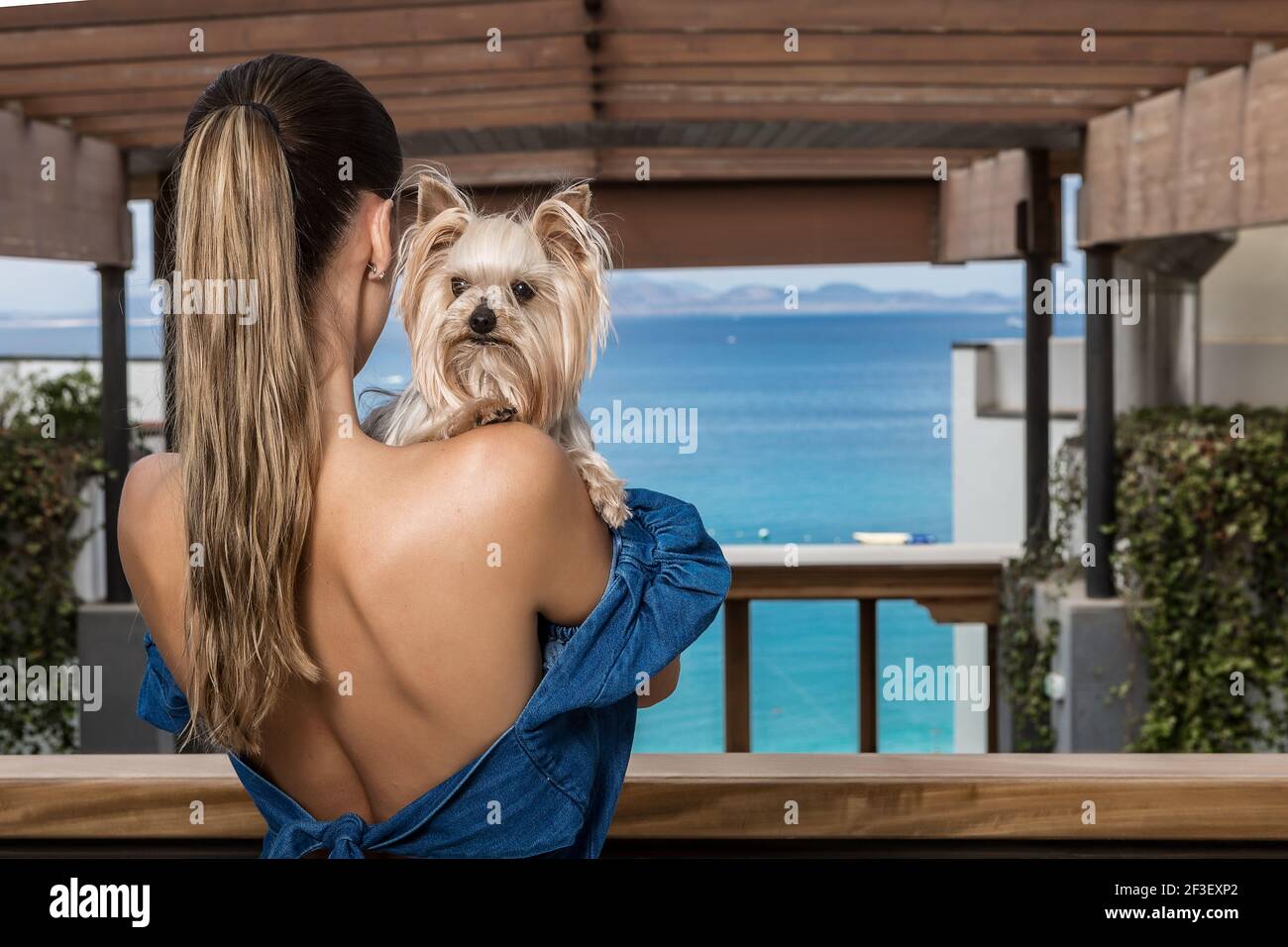 Vista posteriore di signora irriconoscibile abbracciando carino Yorkshire Terrier e. ammirate il mare blu mentre siete in piedi sulla terrazza coperta di cane hotel accogliente Foto Stock