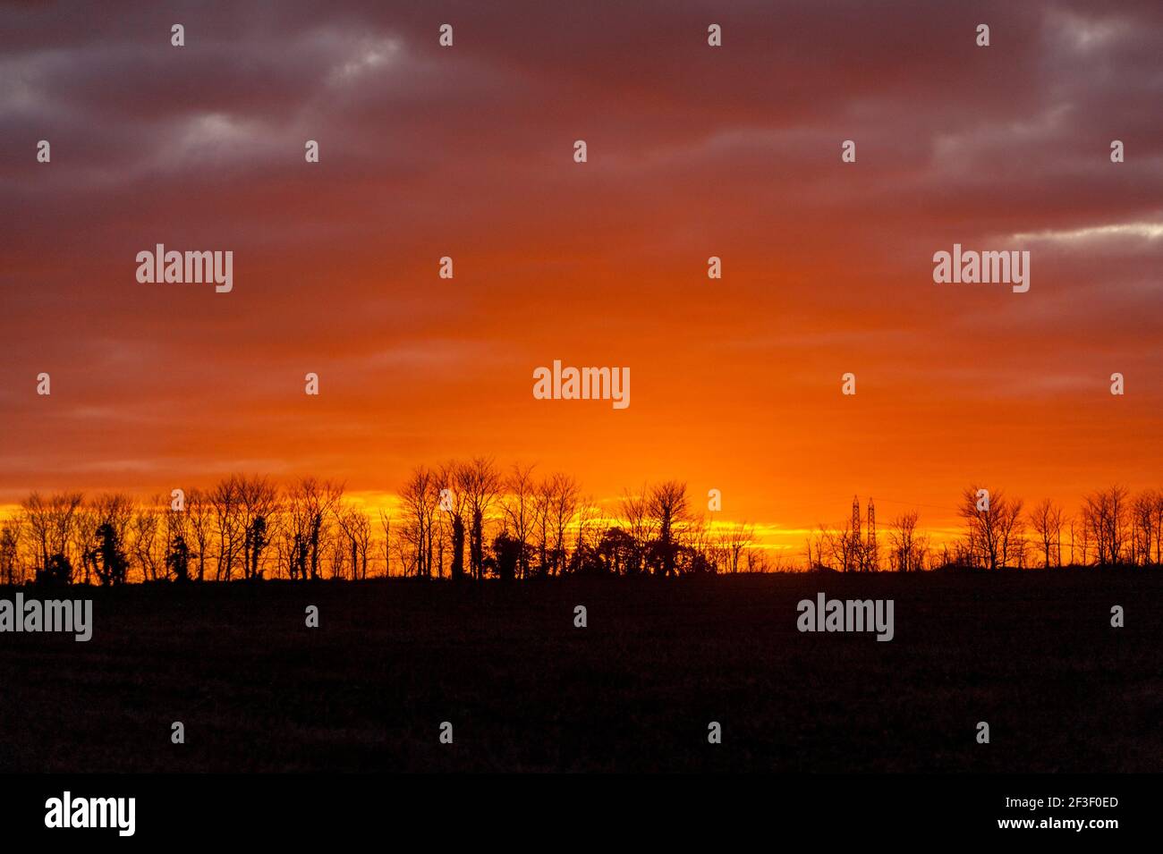 Tramonto dietro i boschi nei pressi di Hoo St Werberg Kent Foto Stock