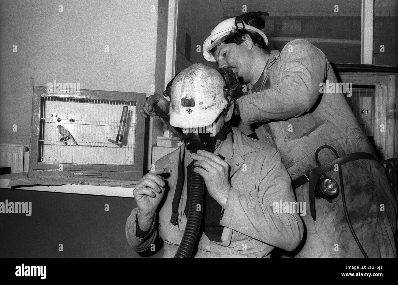 Gli uomini si allenano nell'uso di apparecchi respiratori a Monkwearmouth Colliery Foto Stock