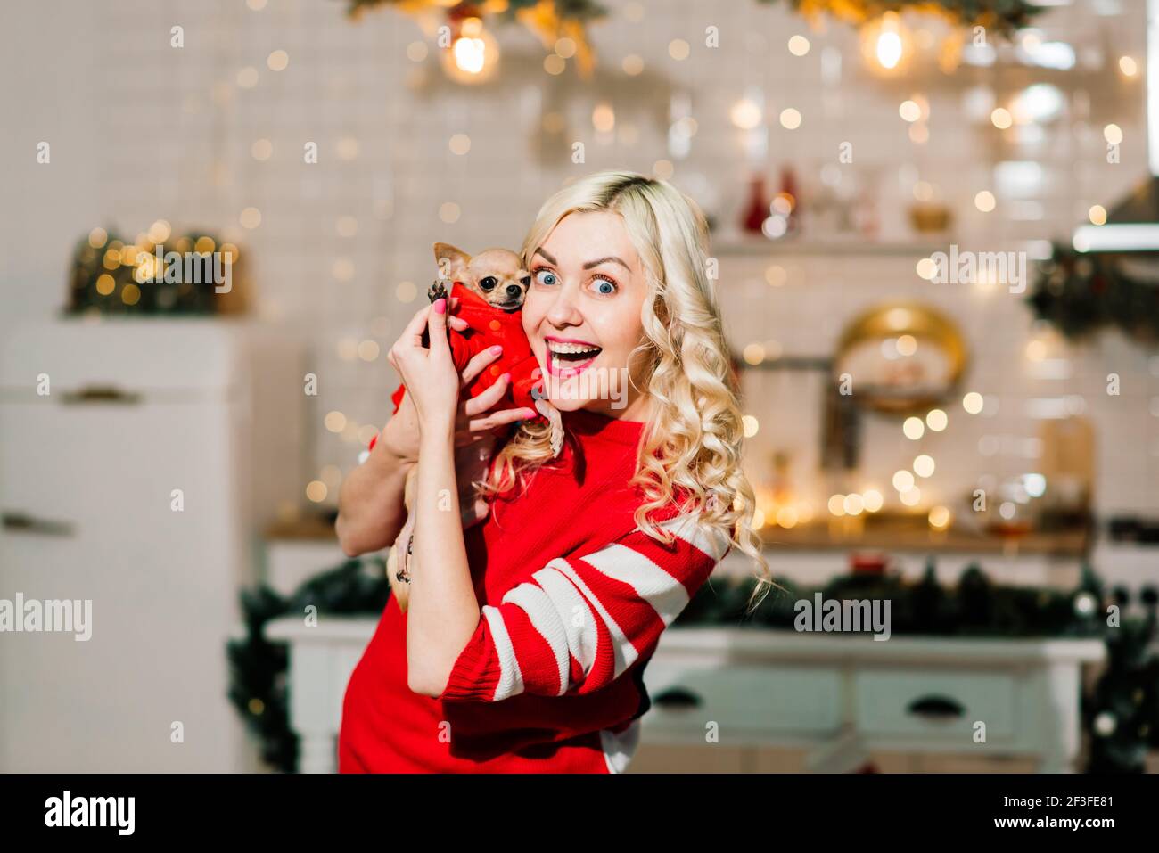Ritratto di donna bionda che indossa Natale Santa tenendo cani chihuahua in costume di Natale in cucina con decorazione di Natale, sorridente e guardando Foto Stock