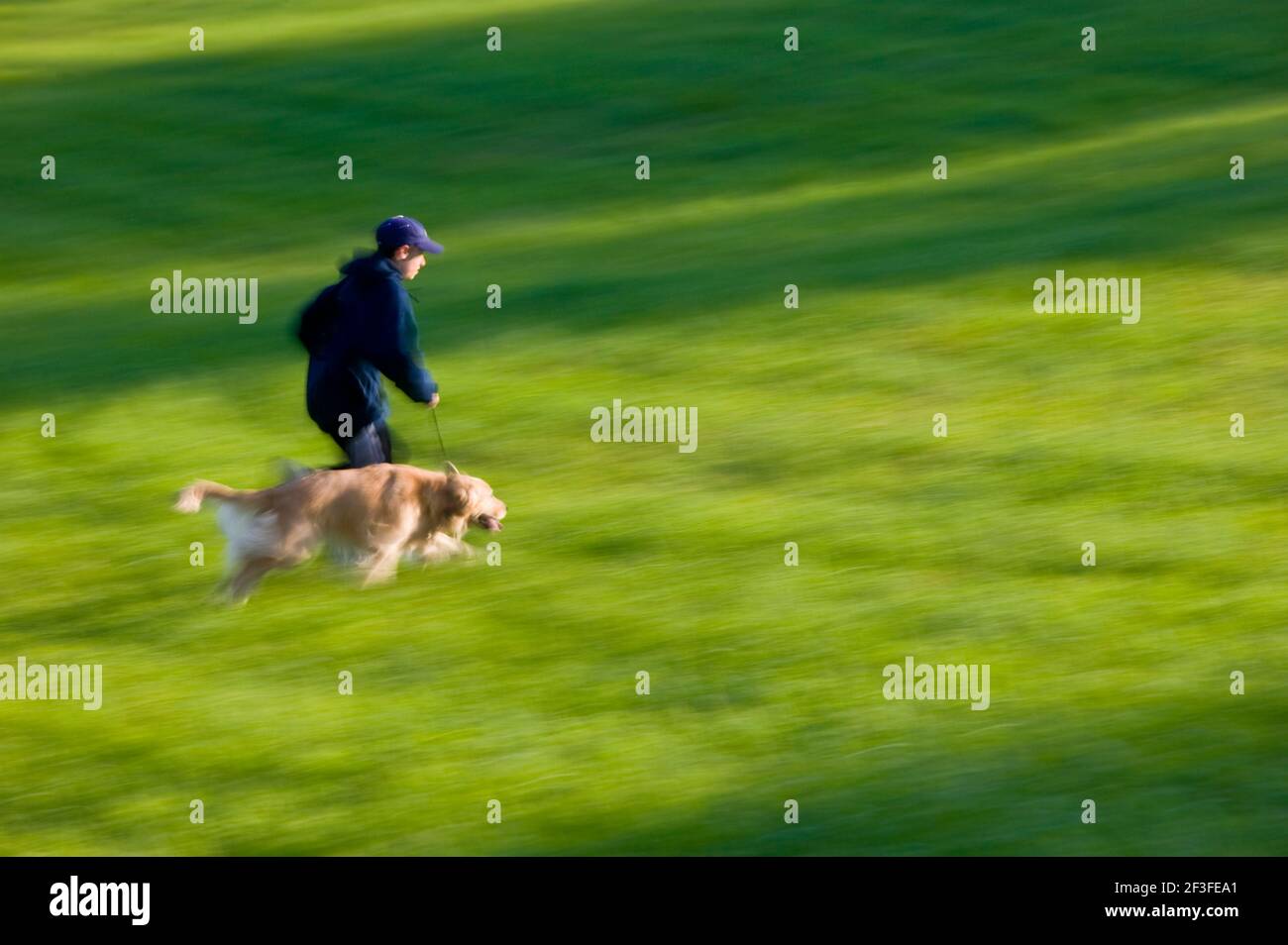 Ragazzo adolescente in esecuzione con il suo Golden Retriever cane nel verde dei campi erbosi di un parco. Foto Stock