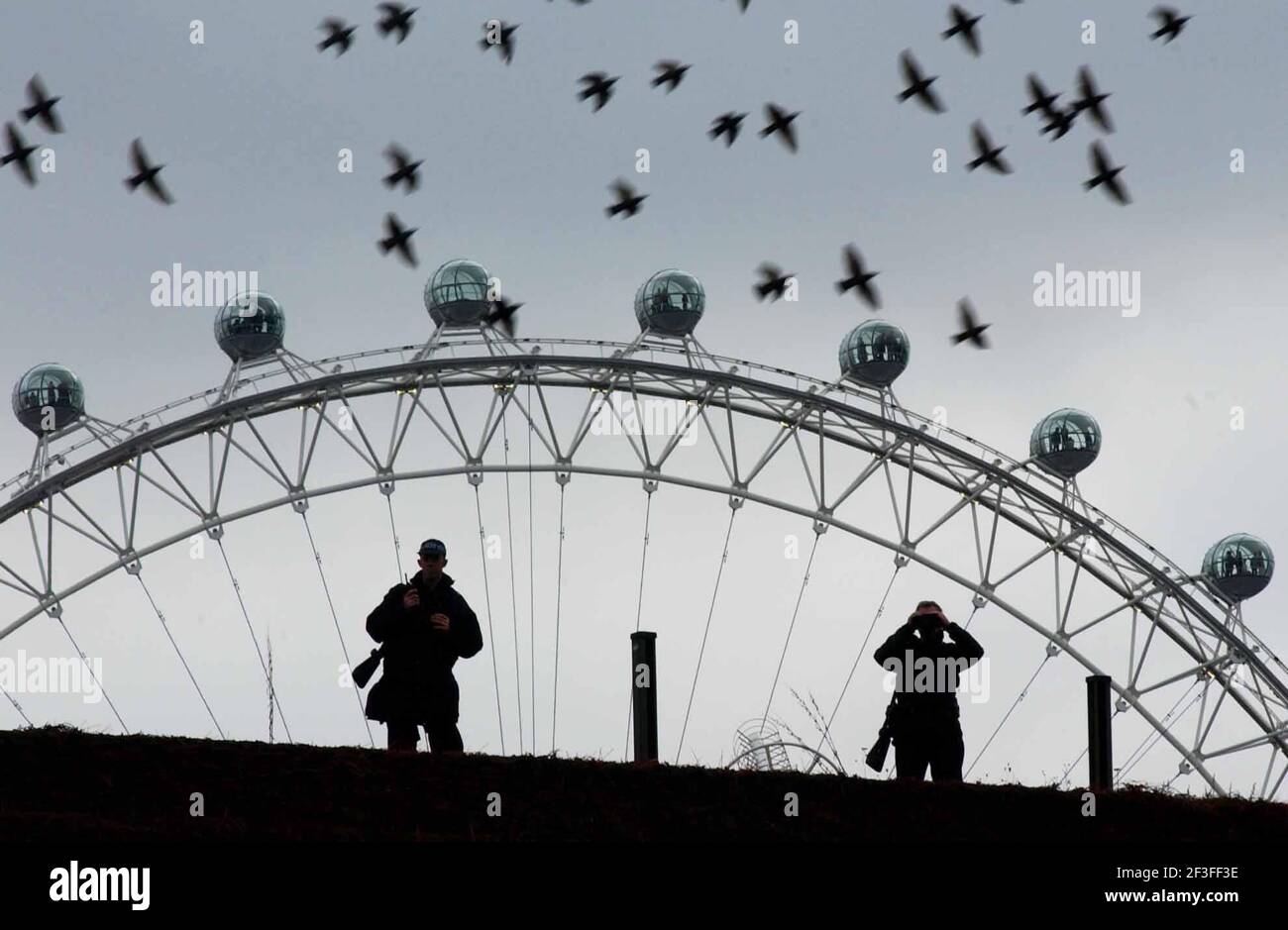 I MARKSMEN DELLA POLIZIA DEL TETTO COME IL MOTORCADE DEL CESPUGLIO VIAGGIA GIÙ THE MALL.19/11/03 PILSTON Foto Stock