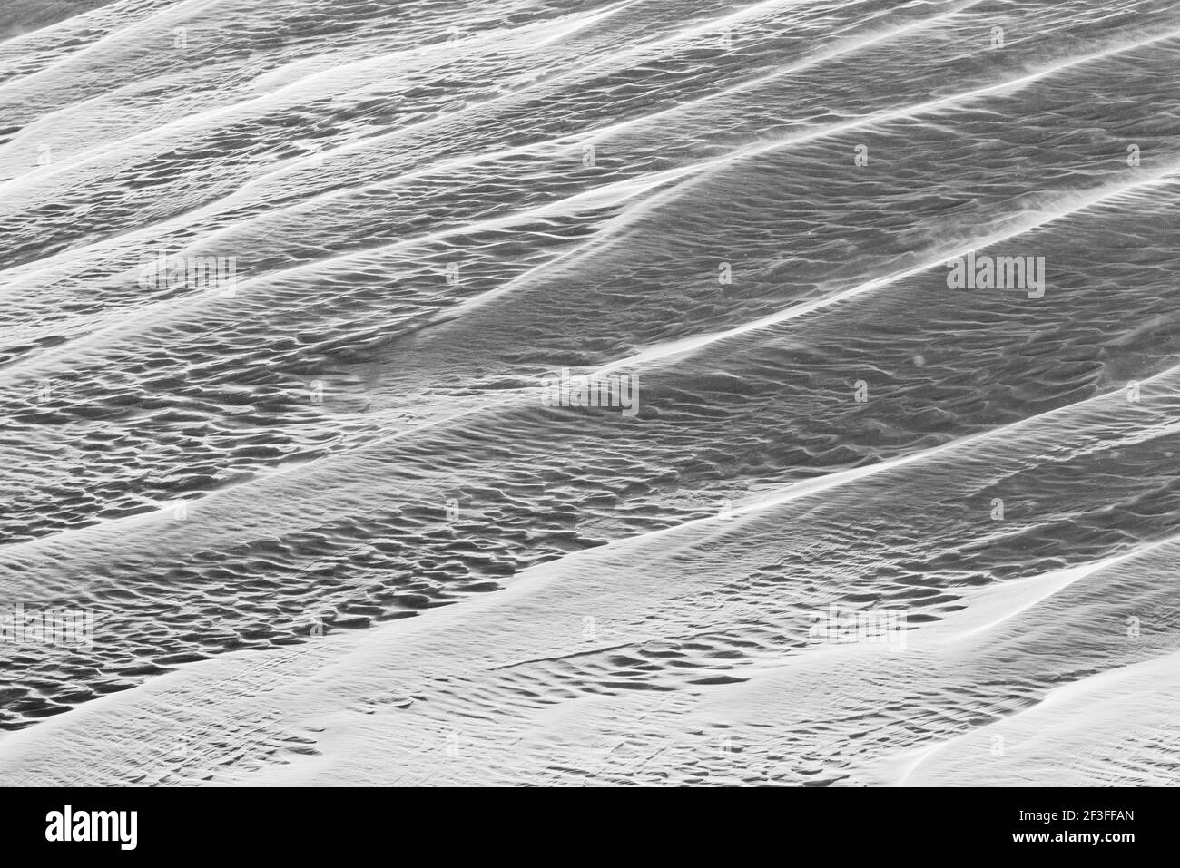 Vista in bianco e nero di motivi scolpiti dal vento nella neve fresca; vicino alla miniera della Madonna; Monarch Pass; Colorado; USA Foto Stock